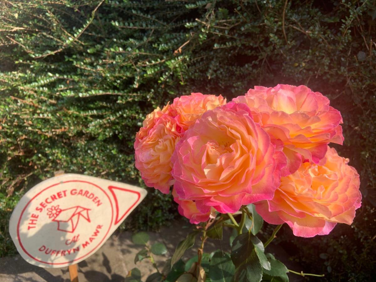 The Hideaway At Duffryn Mawr Self Catering *