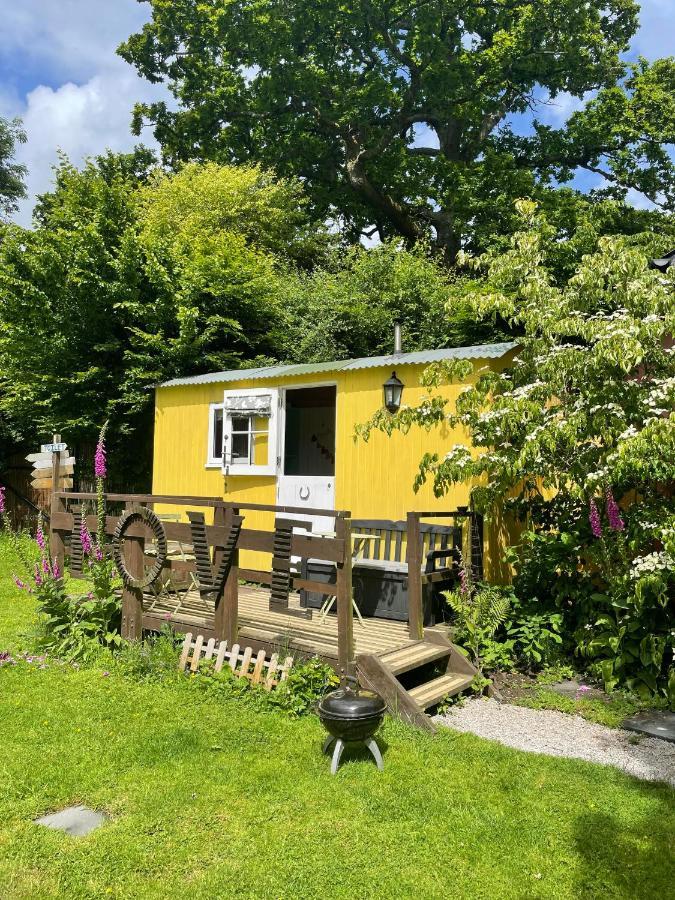 The Hideaway At Duffryn Mawr Self Catering Chalet *