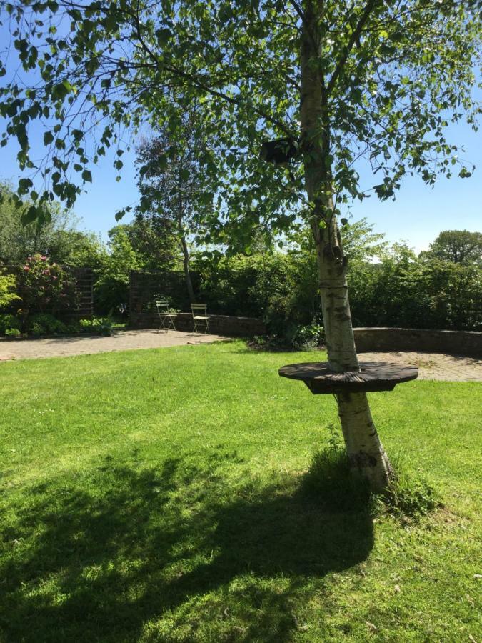 The Hideaway At Duffryn Mawr Self Catering *